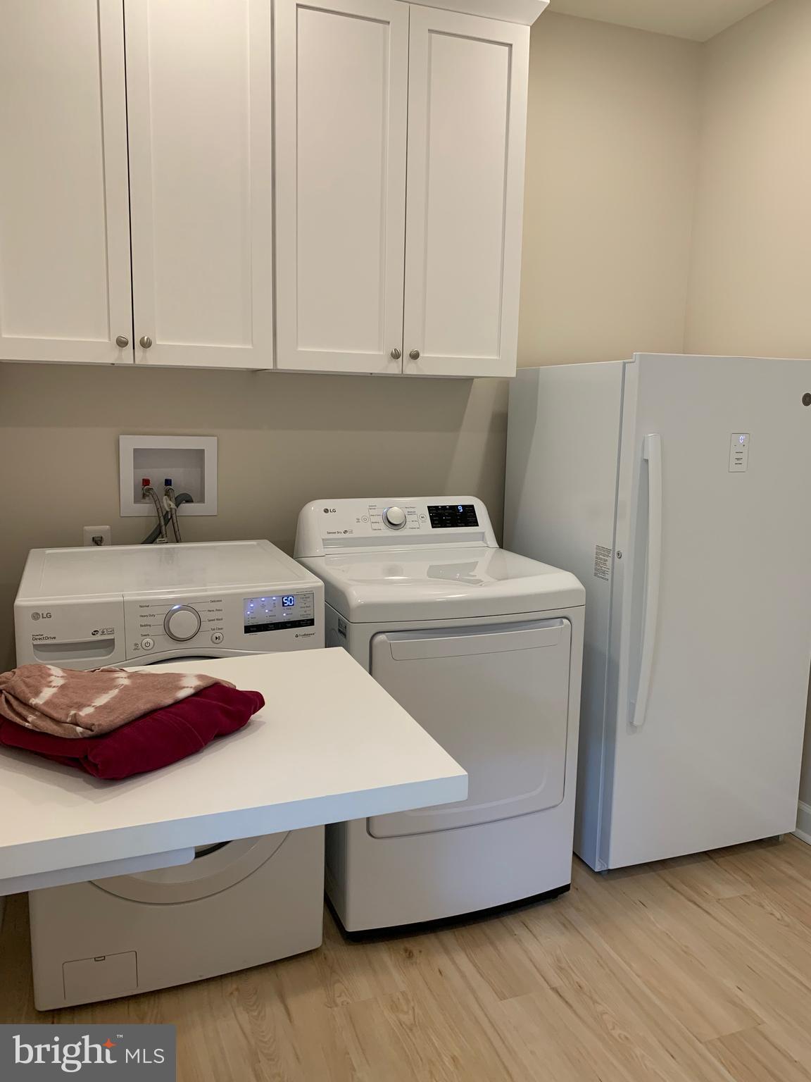 3213 Old Tanbark Road Luray, VA 22835 - Photo 58 of 93 Folding shelf in laundry