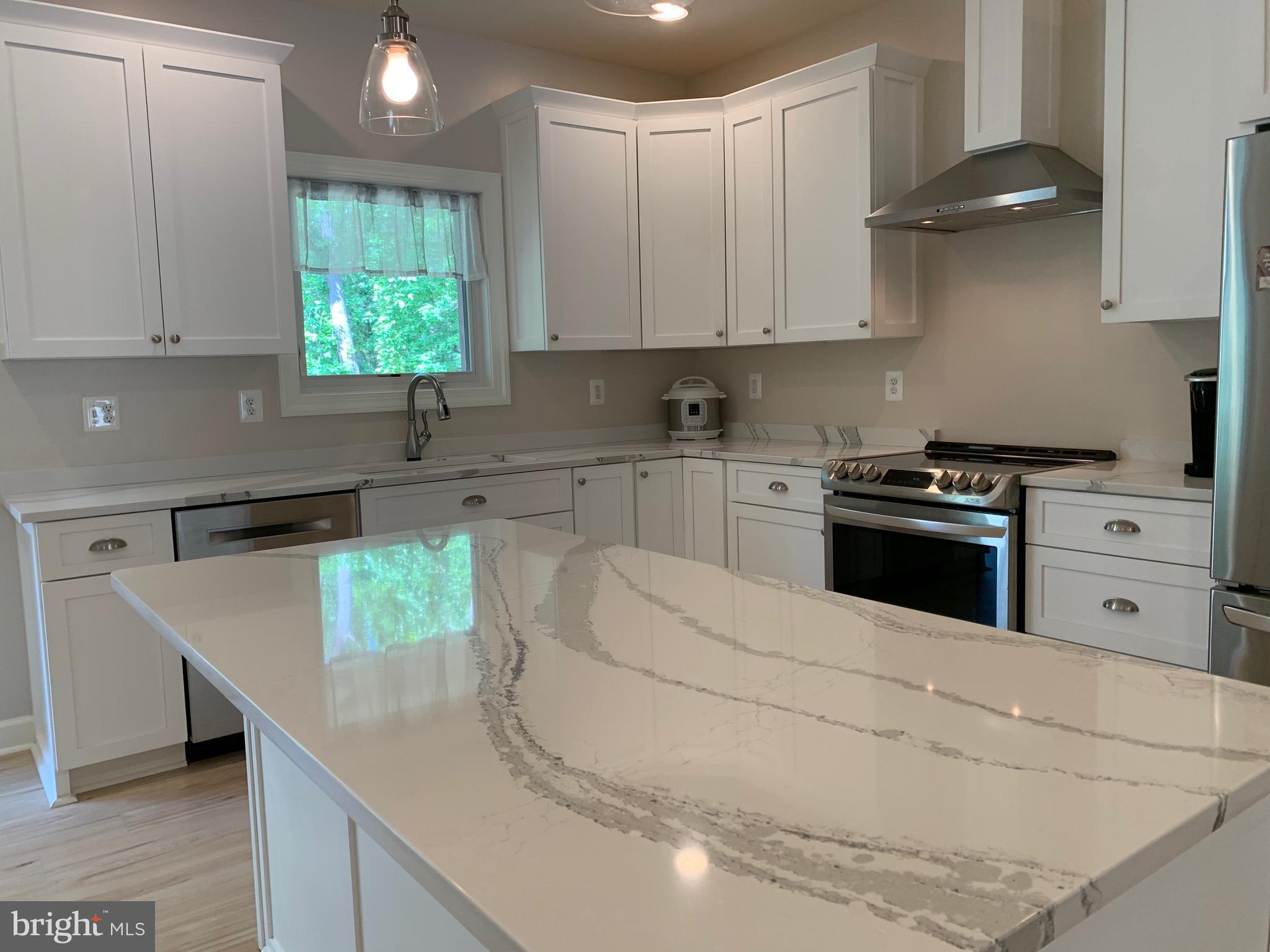 3213 Old Tanbark Road Luray, VA 22835 - Photo 62 of 93 Cambria Quartz countertops