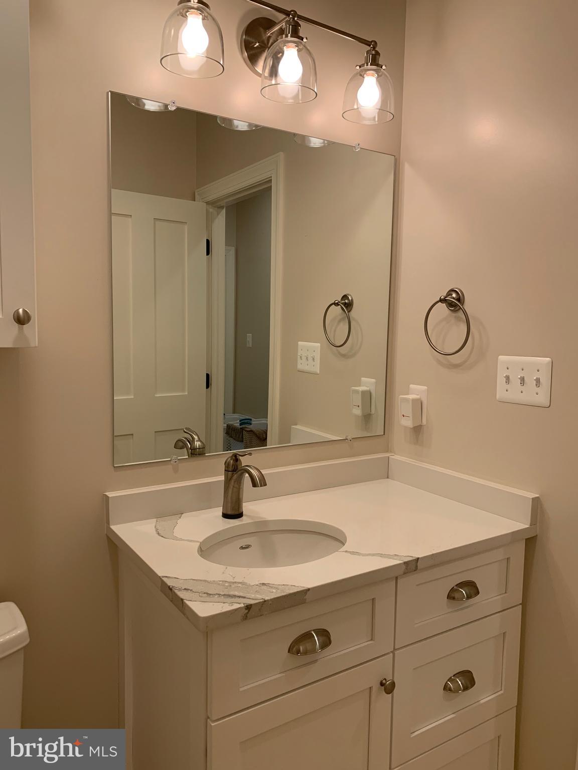 3213 Old Tanbark Road Luray, VA 22835 - Photo 64 of 93 Cambia Quartz countertop with touch faucet