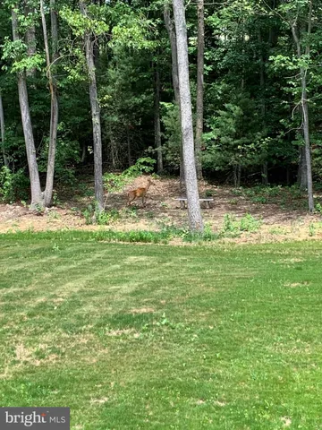 $599,000 | 3213 Old Tanbark Road, Luray, VA 22835