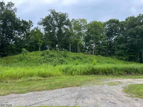 a view of a lush green space