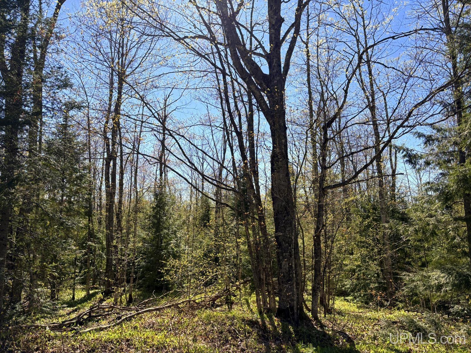 Tbd Tbd Townline Road Skandia, MI 49885 - Photo 25 of 58