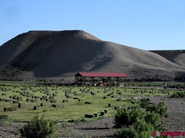 11694 Trap Club Road Austin, CO 81410 - Photo 3 of 45 a view of a big yard
