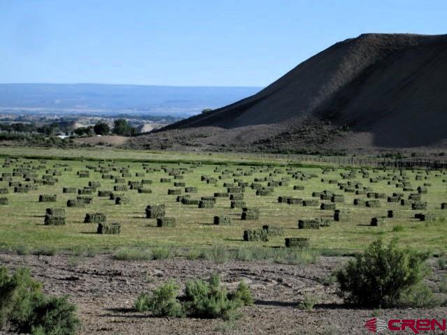 11694 Trap Club Road Austin, CO 81410 - Photo 40 of 45 a view of a green field