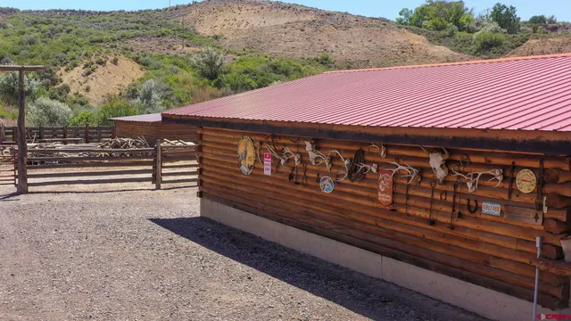 a view of a big yard