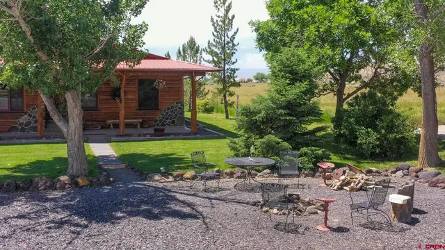 a view of a patio with chairs and plants