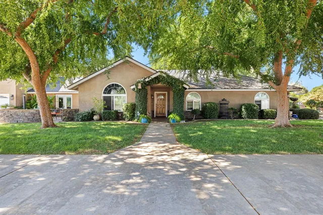 a view of a yard in front of a house with plants and large tree