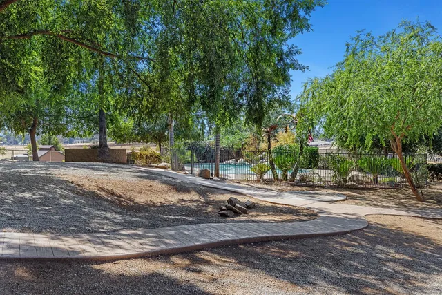 view of a potted plant