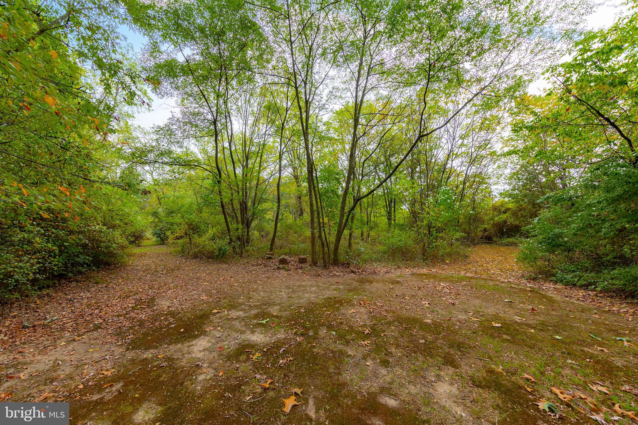 18 Dubois Road Bridgeton, NJ 08302 - Photo 29 of 37 Serenity in the tree covered privacy!