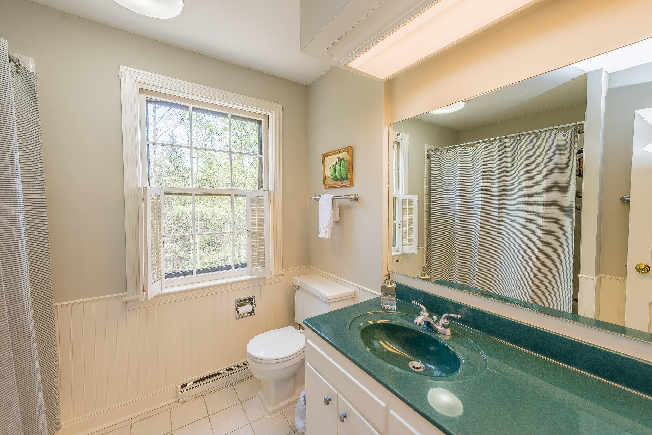 4522 Mitchell Road Kingsport, TN 37664 - Photo 35 of 79 Hall bath