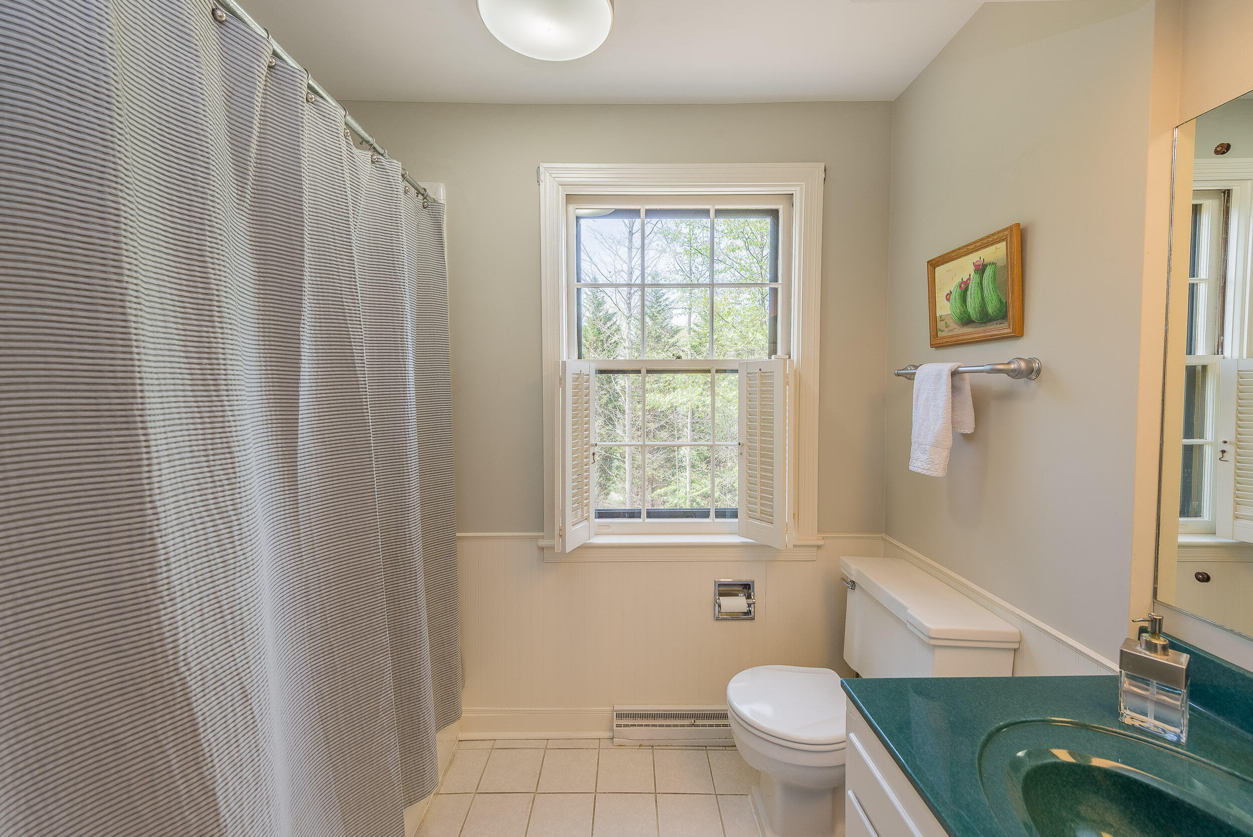 4522 Mitchell Road Kingsport, TN 37664 - Photo 36 of 79 Hall bath