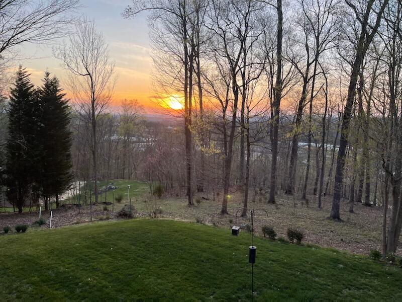 4522 Mitchell Road Kingsport, TN 37664 - Photo 5 of 79 Sunset