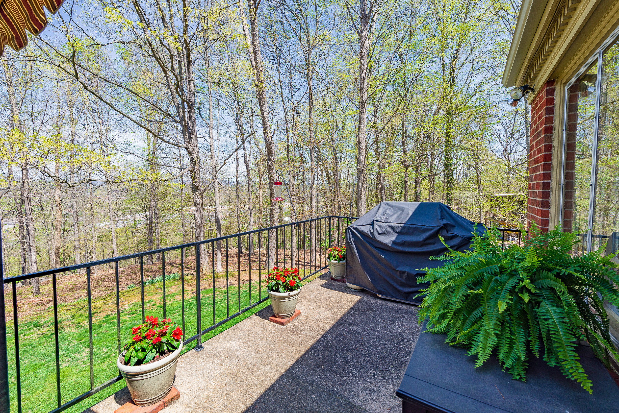 4522 Mitchell Road Kingsport, TN 37664 - Photo 53 of 79 Main level Porch