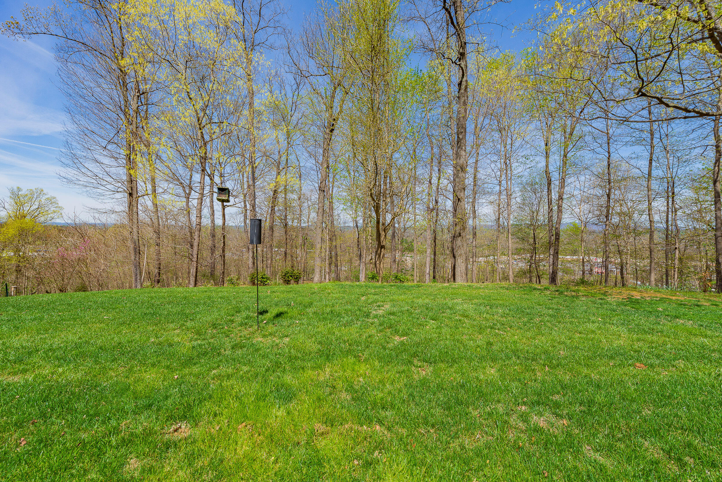 4522 Mitchell Road Kingsport, TN 37664 - Photo 60 of 79 Backyard