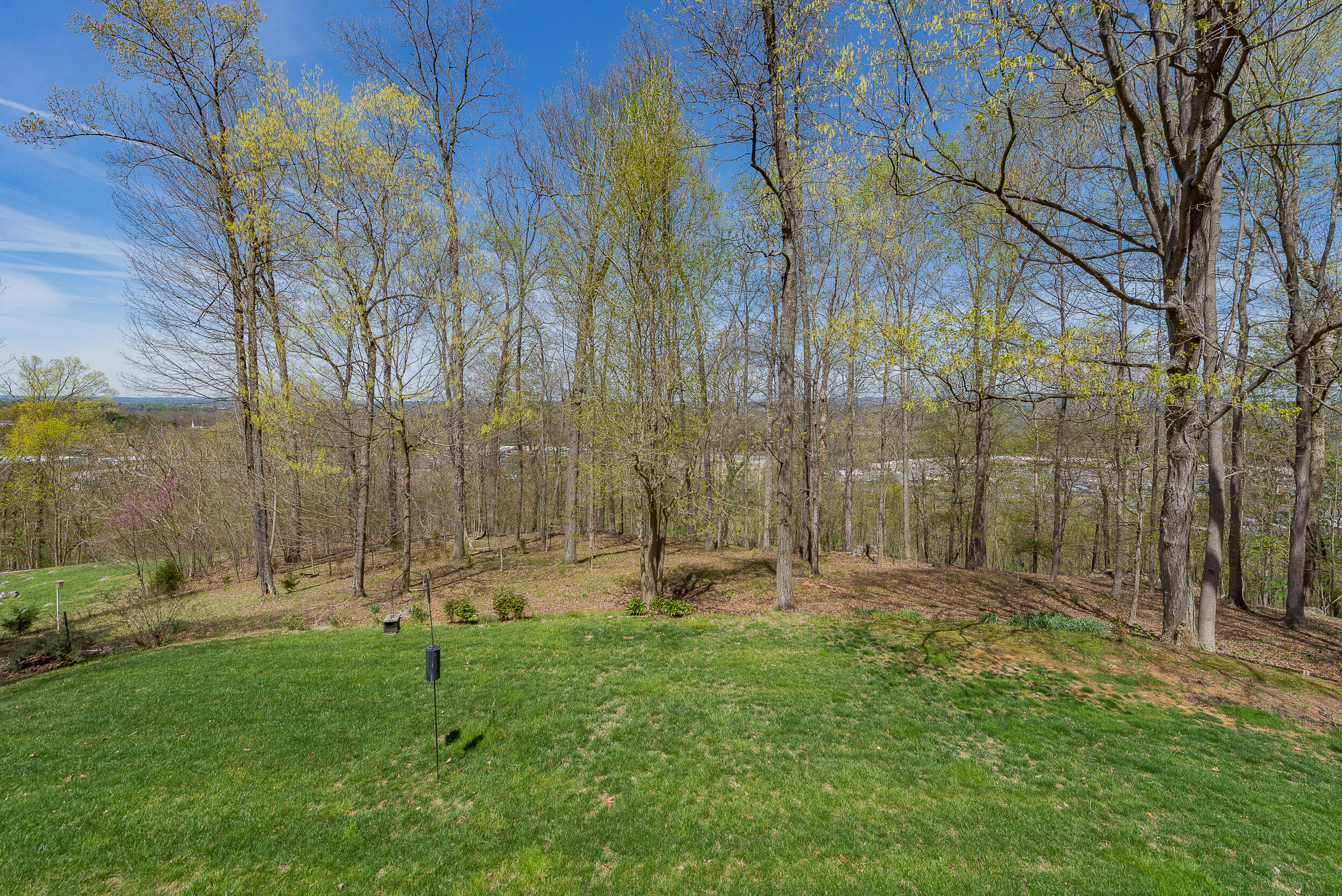 4522 Mitchell Road Kingsport, TN 37664 - Photo 62 of 79 61DSC_0008