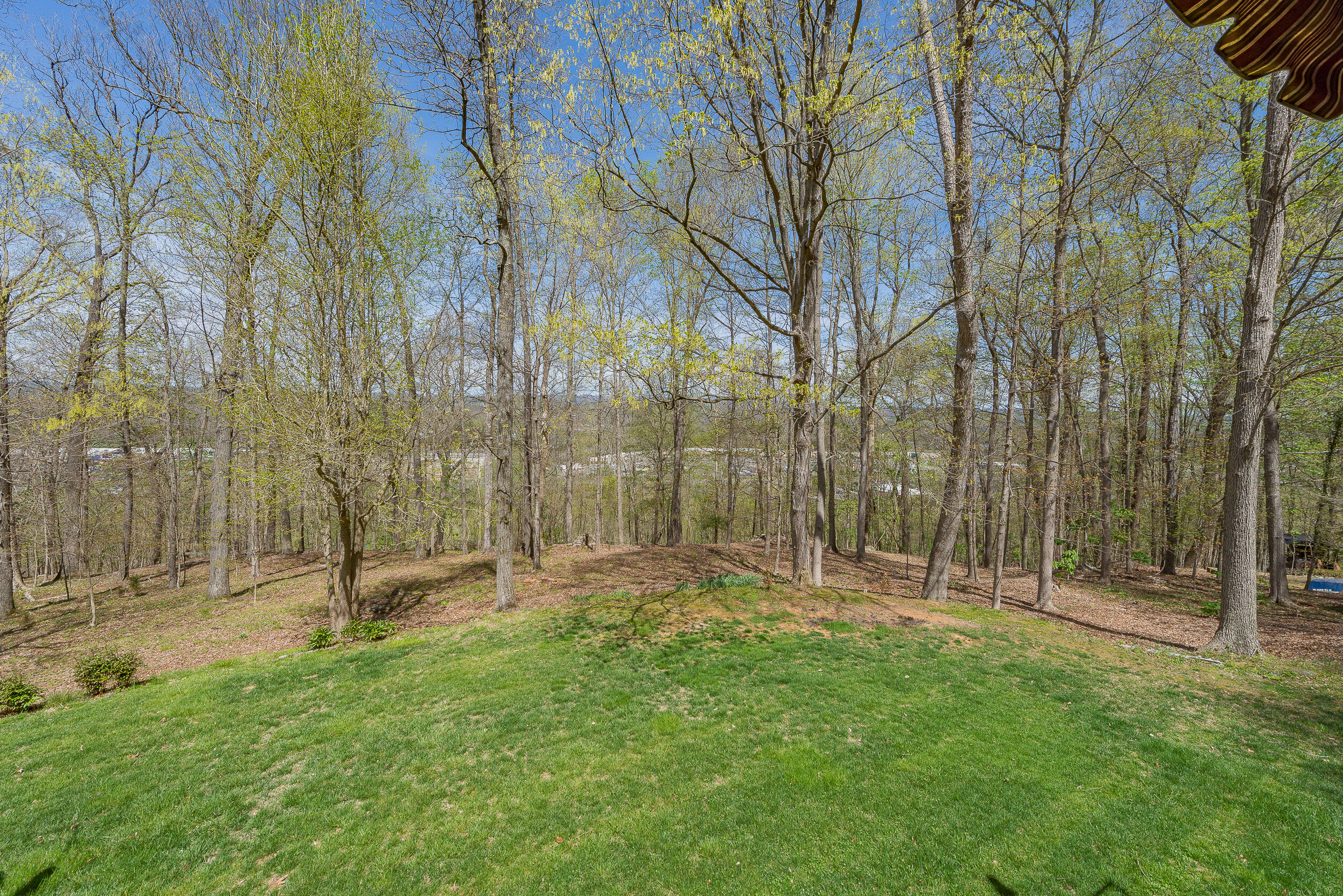 4522 Mitchell Road Kingsport, TN 37664 - Photo 63 of 79 62DSC_0011