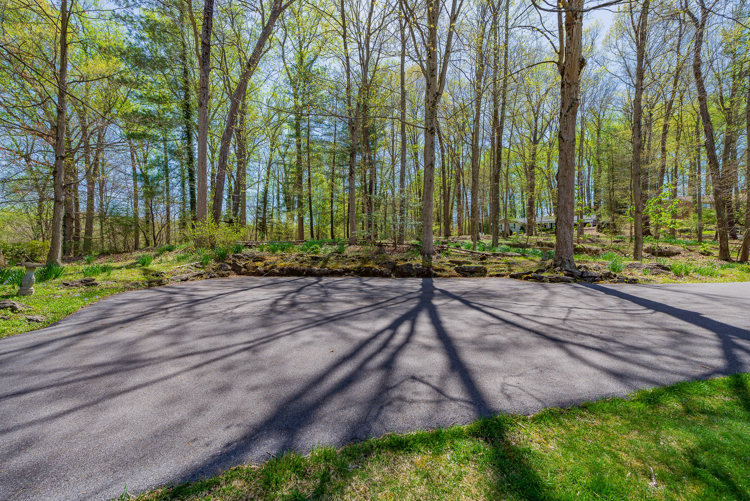 4522 Mitchell Road Kingsport, TN 37664 - Photo 73 of 79 Driveway Parking