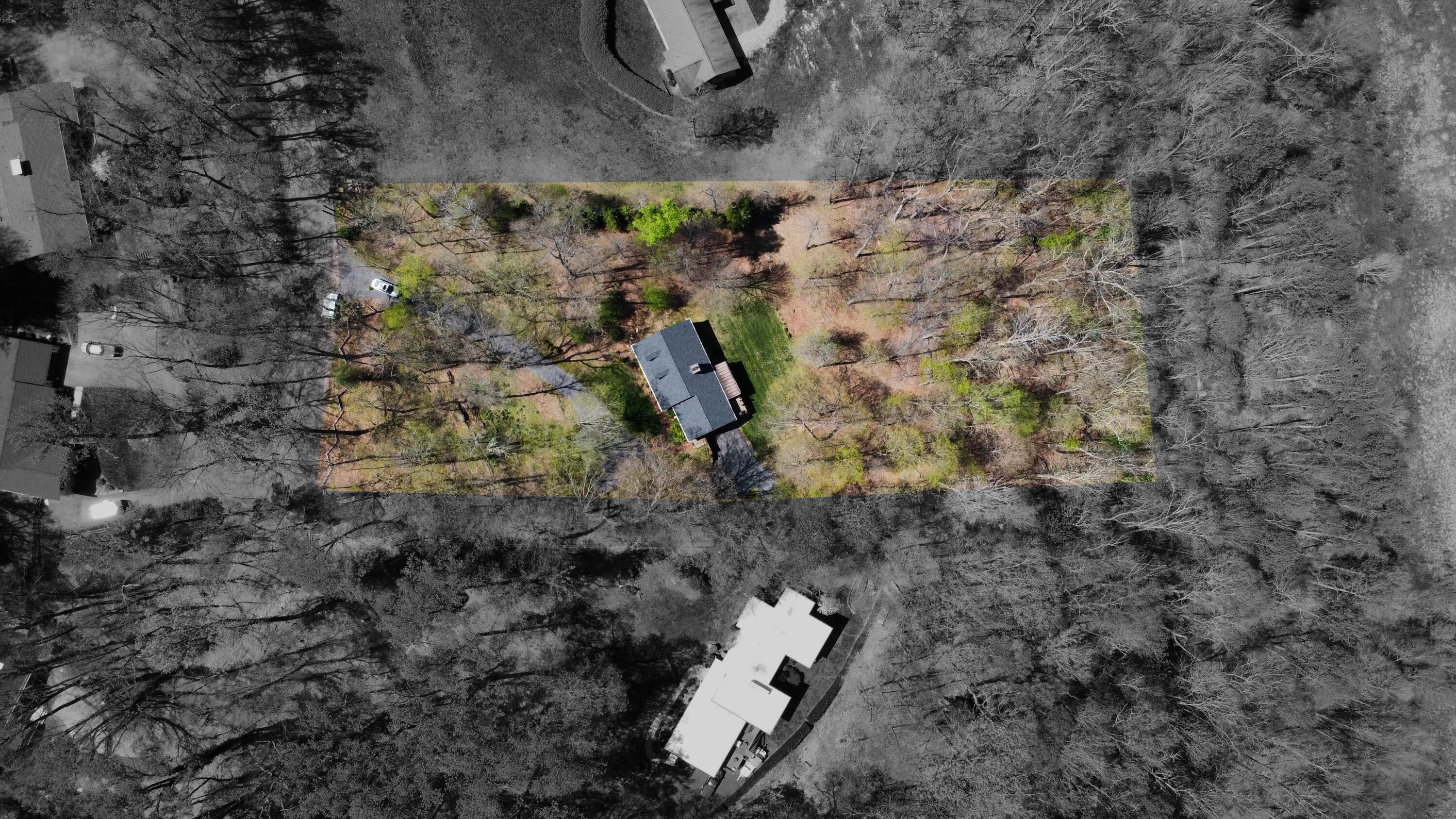 4522 Mitchell Road Kingsport, TN 37664 - Photo 79 of 79 Approximate lot lines aerial