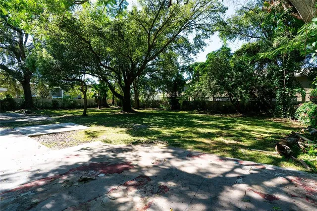 a view of a tree in a yard