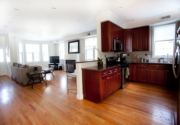 9 Lambert Street, Unit 9 Boston, MA 02119 - Photo 1 of 9 Gallery Image 1
