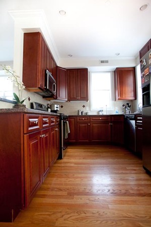 9 Lambert Street, Unit 9 Boston, MA 02119 - Photo 5 of 9 Gallery Image 5