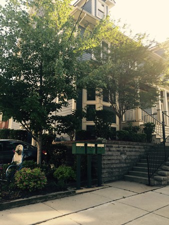 9 Lambert Street, Unit 9 Boston, MA 02119 - Photo 9 of 9 Gallery Image 9