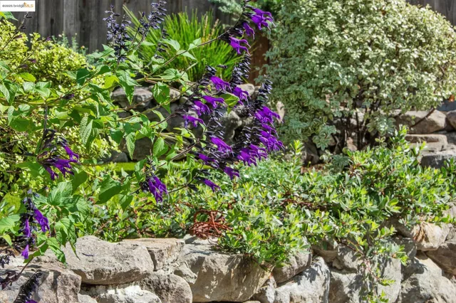 $798,000 | 4032 Laurel Avenue, Oakland, CA 94602