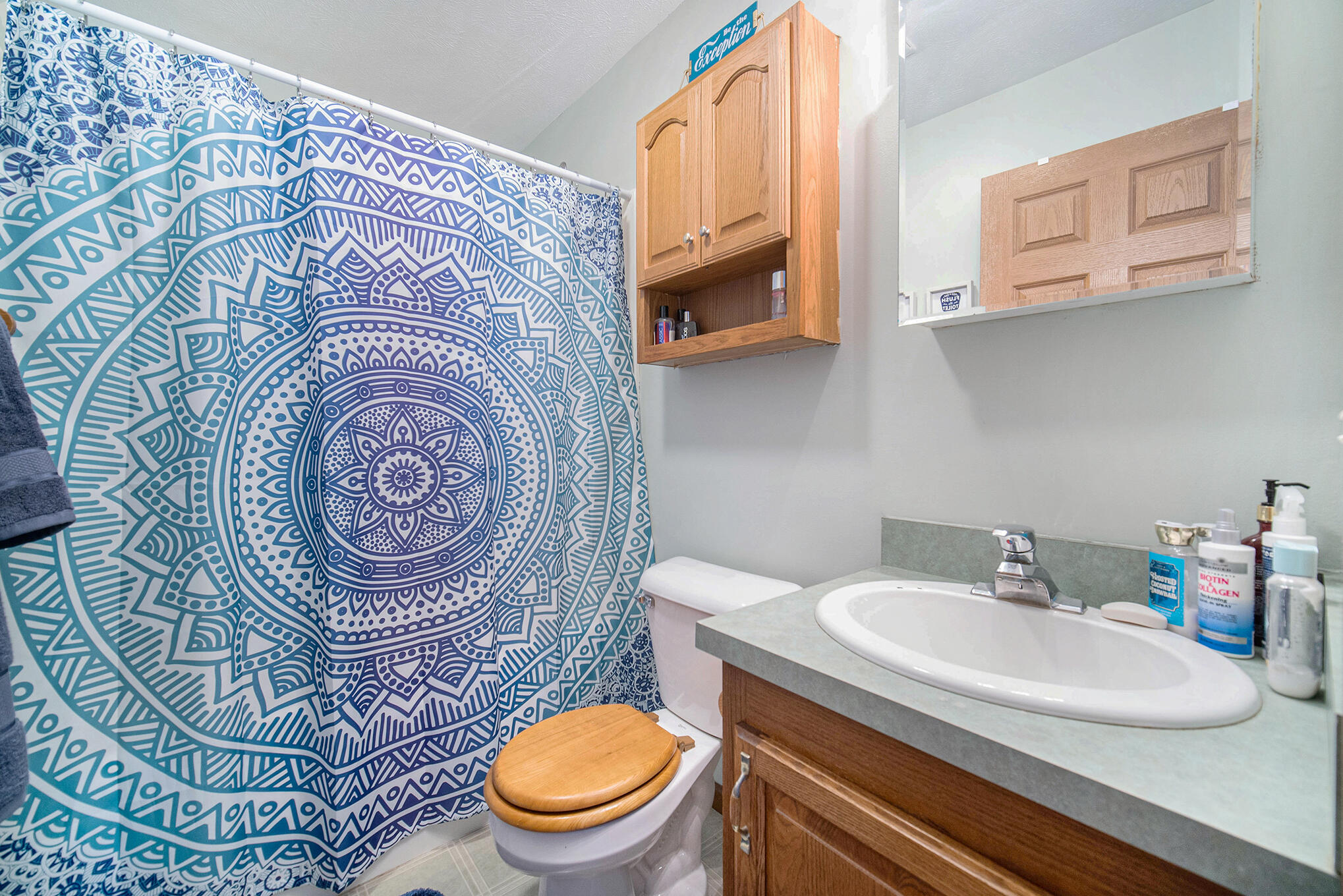 10678 Lawrence Road Brooklyn, MI 49230 - Photo 16 of 35 SBP__81