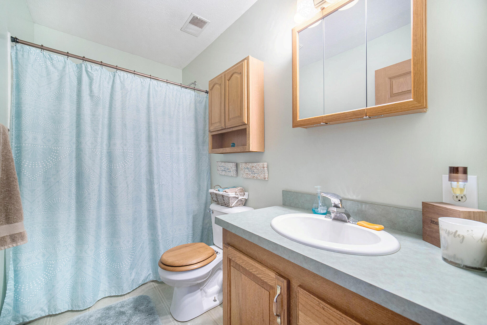 10678 Lawrence Road Brooklyn, MI 49230 - Photo 20 of 35 SBP__101