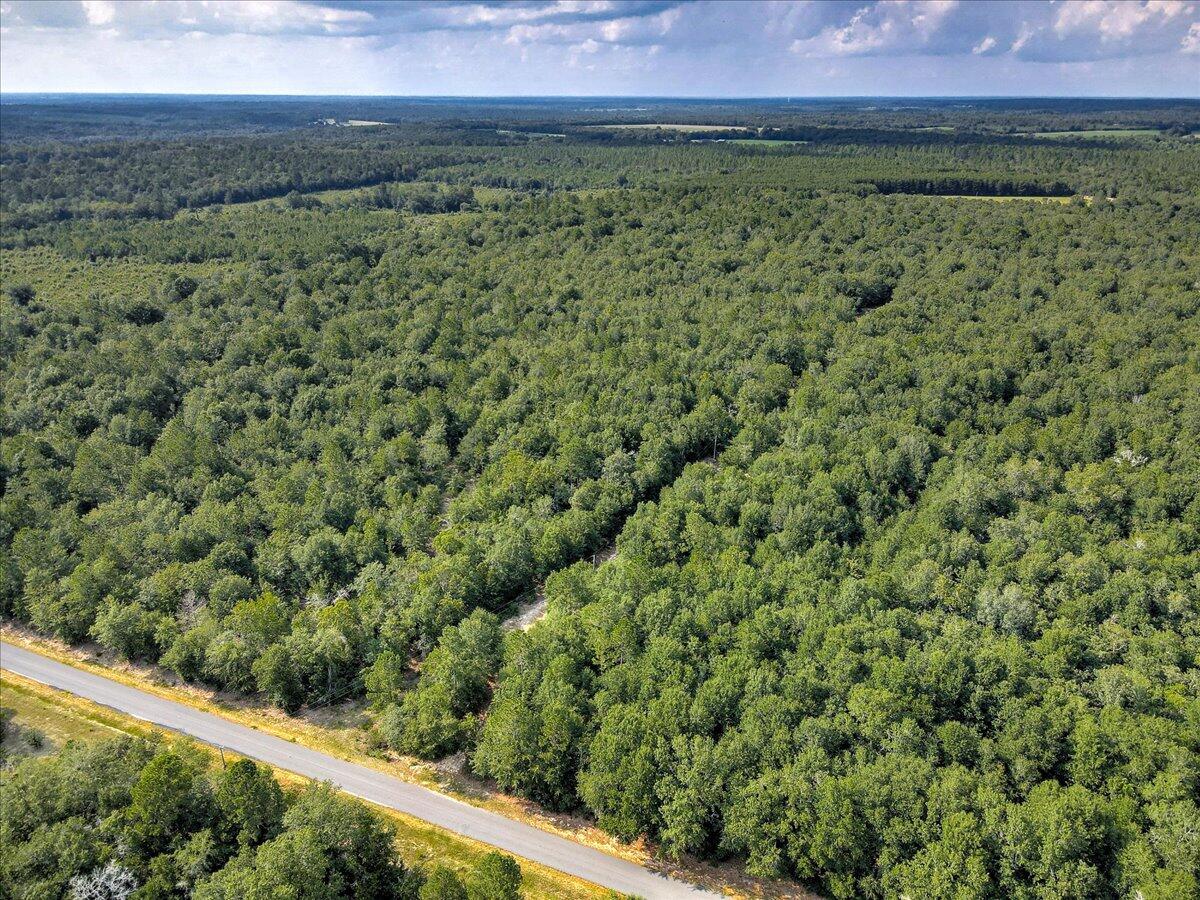 0 Millers Pond Road, Unit 4 Salley, SC 29137 - Photo 6 of 18
