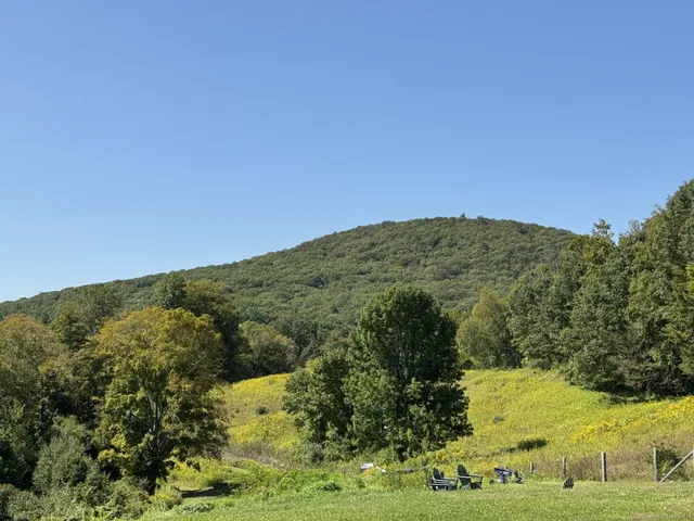 a view of a field with an trees