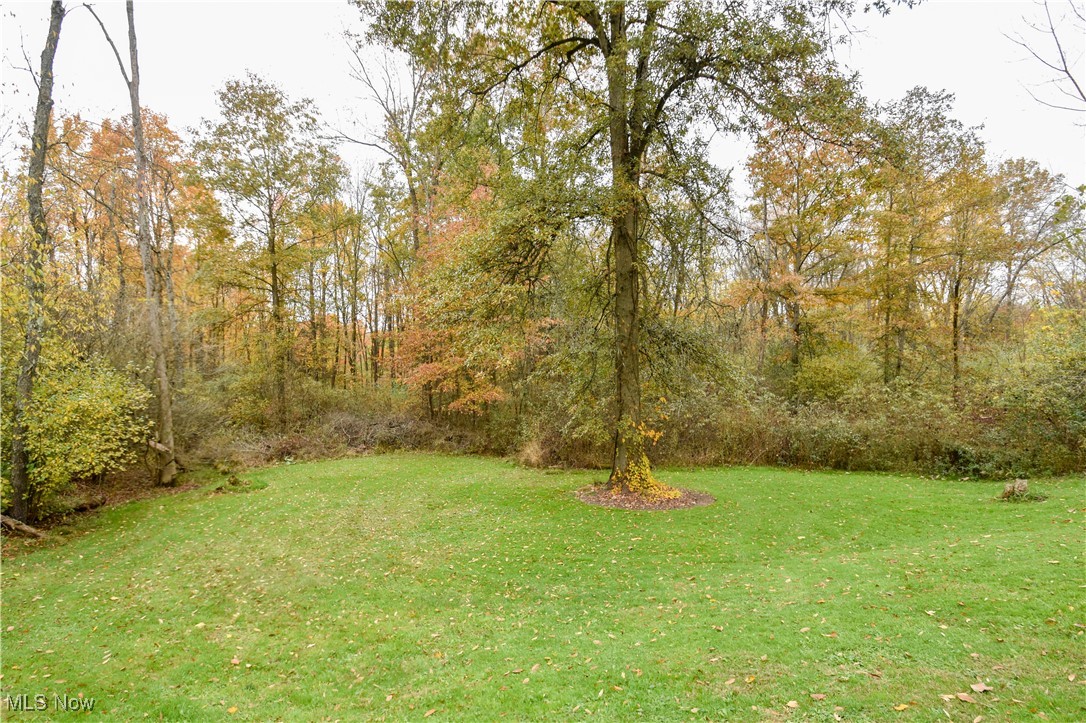 631 Carson Salt Springs Road Warren, OH 44481 - Photo 39 of 39 View of yard