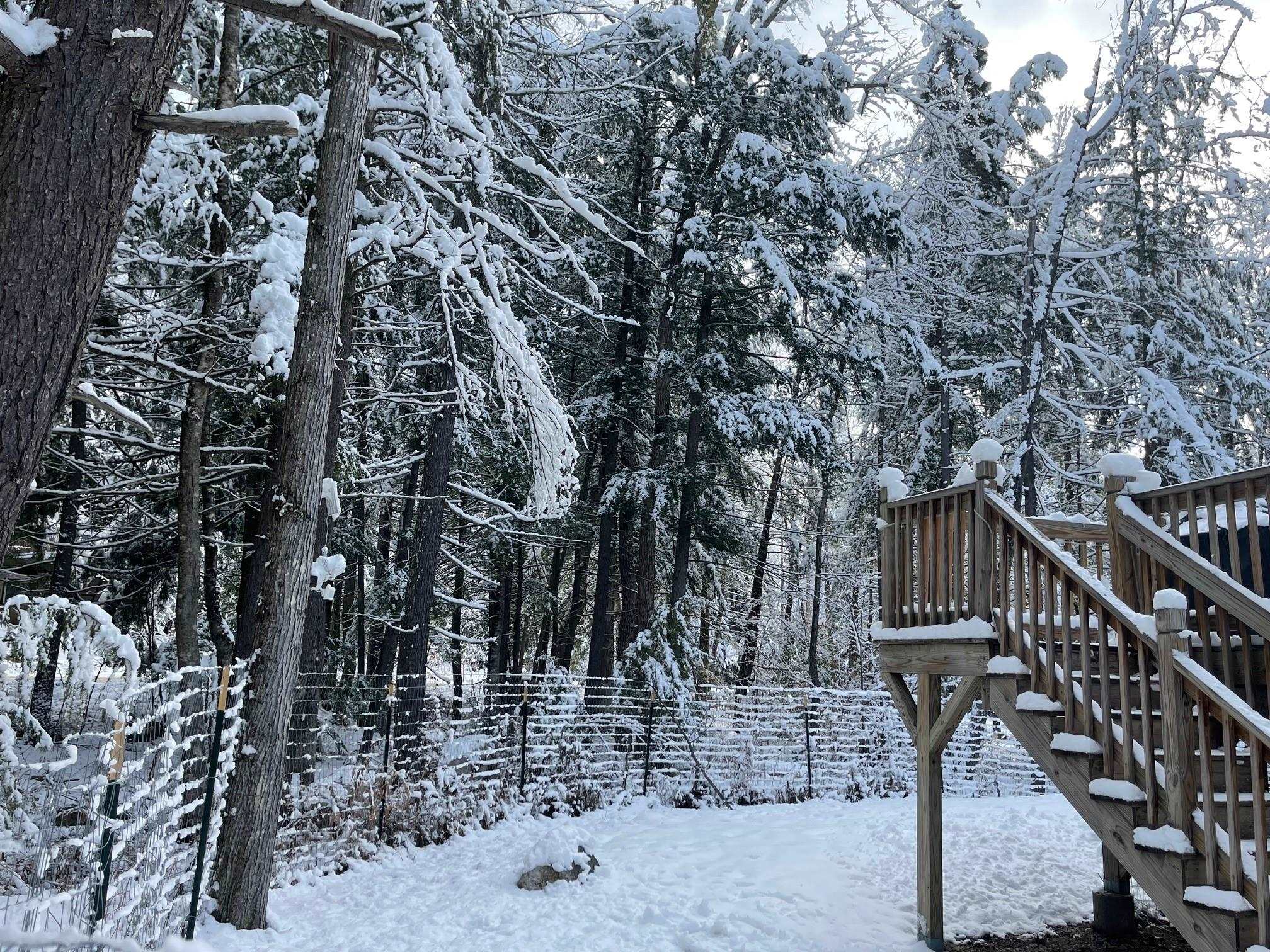 25 Bern Drive Madison, NH 03849 - Photo 28 of 40