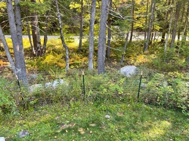 25 Bern Drive Madison, NH 03849 - Photo 29 of 40