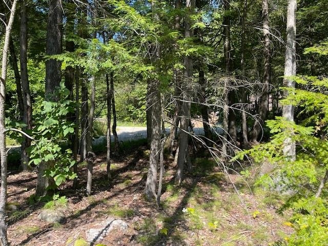 25 Bern Drive Madison, NH 03849 - Photo 30 of 40