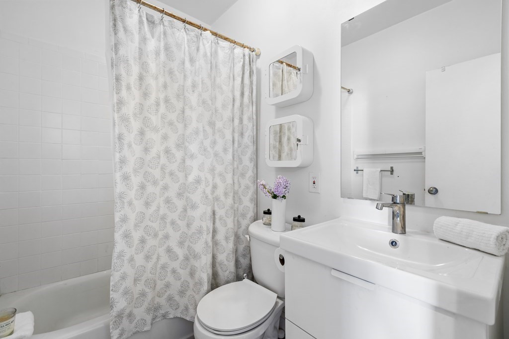 217 Boylston Street, Unit 3 Boston, MA 02130 - Photo 14 of 18 a bathroom with a sink a toilet and shower curtain