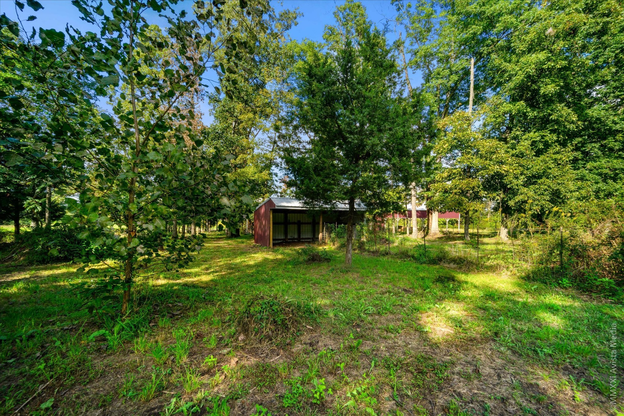 5799 Bill Anderson Road Portland, TN 37148 - Photo 26 of 33