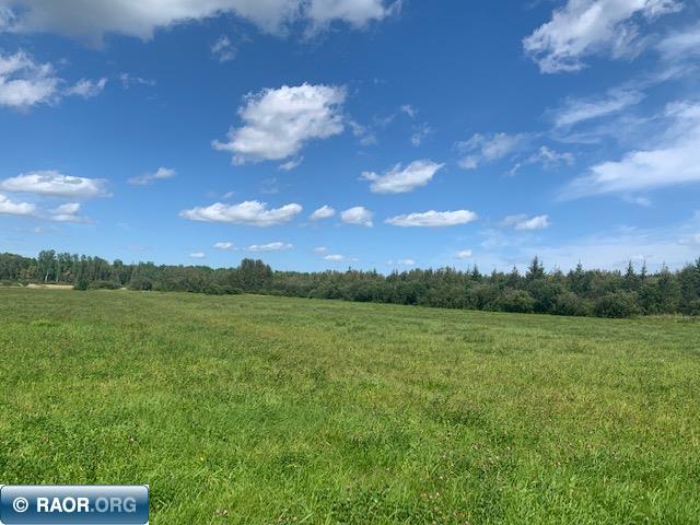 Tbd Swan Lake Road Floodwood, MN 55736 - Photo 1 of 12