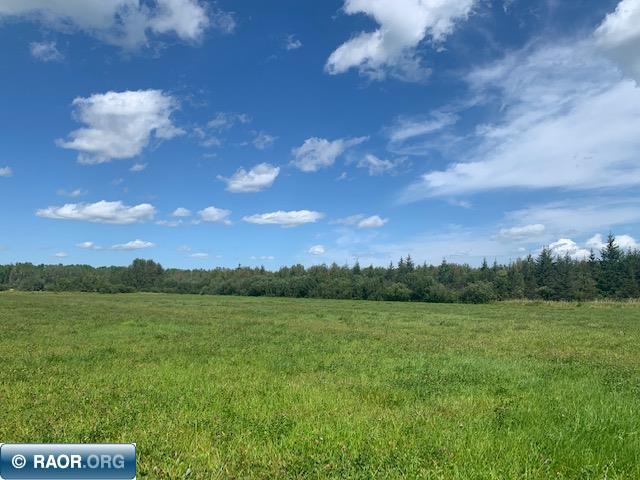 Tbd Swan Lake Road Floodwood, MN 55736 - Photo 12 of 12