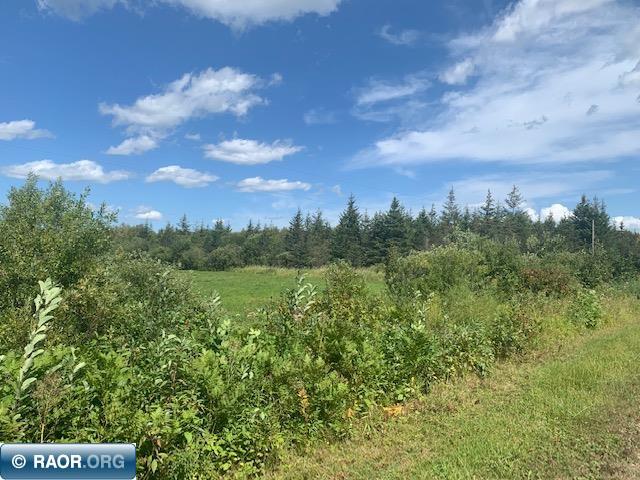 Tbd Swan Lake Road Floodwood, MN 55736 - Photo 3 of 12