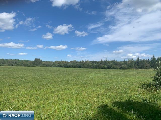 Tbd Swan Lake Road Floodwood, MN 55736 - Photo 5 of 12