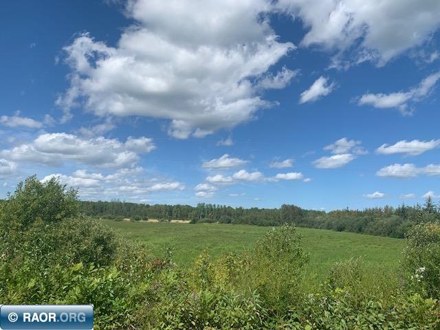 Tbd Swan Lake Road Floodwood, MN 55736 - Photo 6 of 12