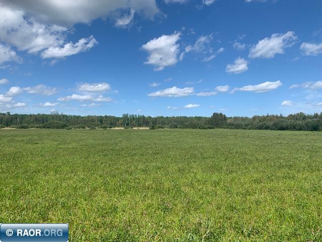 Tbd Swan Lake Road Floodwood, MN 55736 - Photo 8 of 12