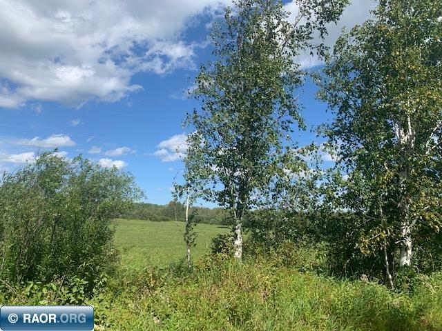 Tbd Swan Lake Road Floodwood, MN 55736 - Photo 10 of 12
