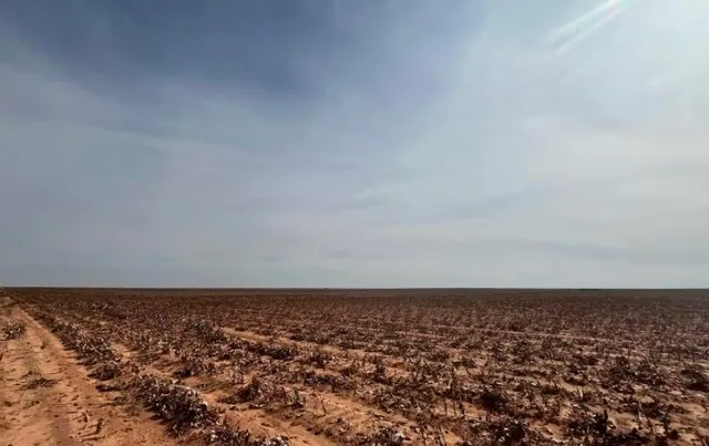 an empty room with mountain