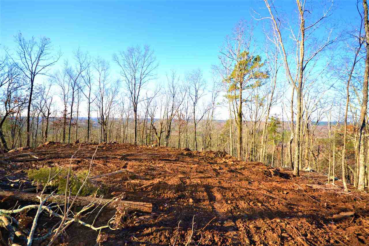 0 Tibbitts Road Dallas, GA 30132 - Photo 1 of 1 a view of a yard with large trees