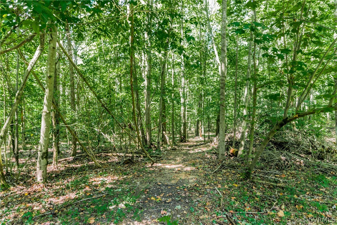 2436 Sandy Hook Road Goochland, VA 23063 - Photo 35 of 36 Gallery Image 35