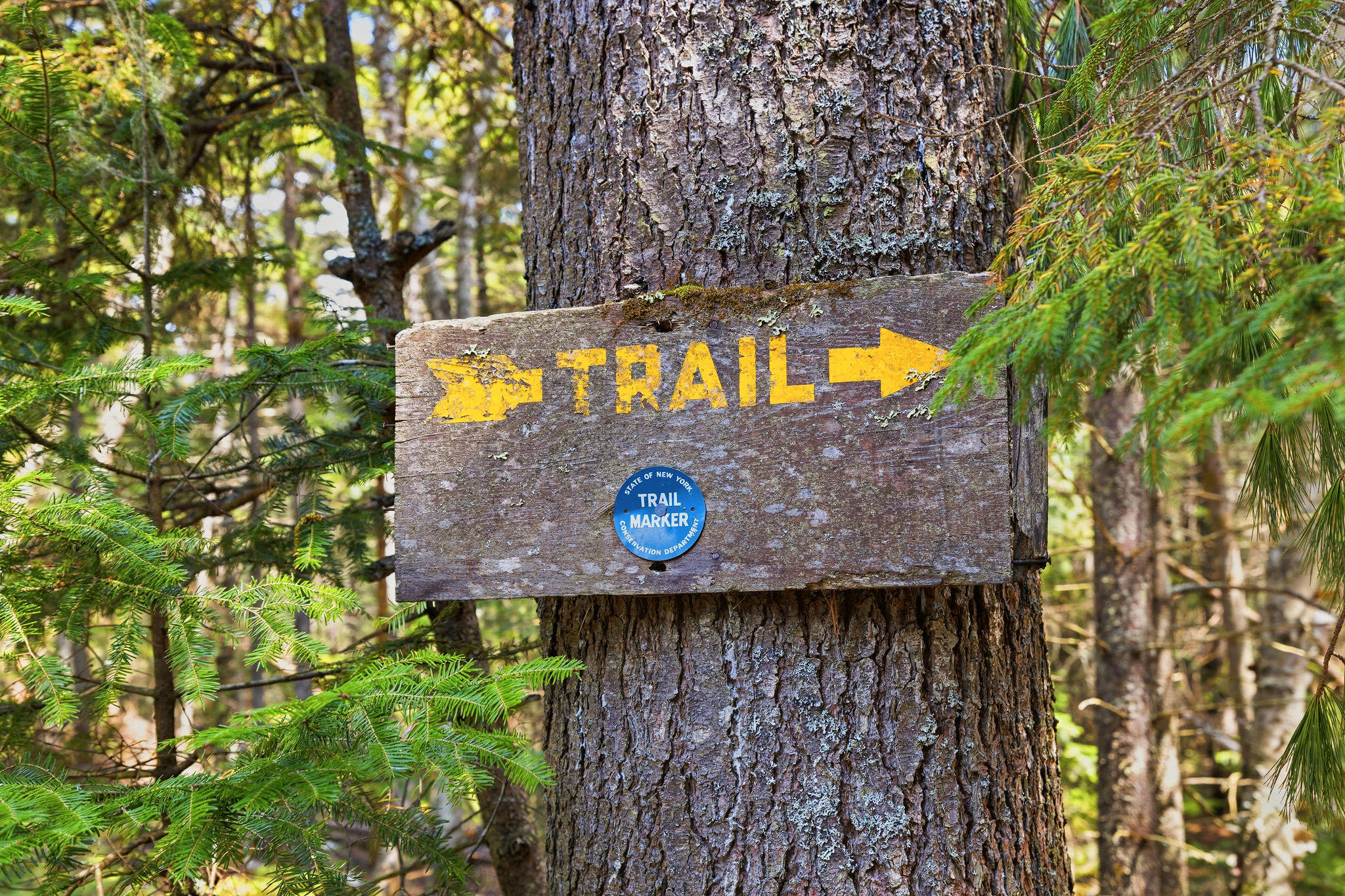 1147 Forestdale Road Au Sable Forks, NY 12912 - Photo 44 of 48 INT-TRIPOD-029