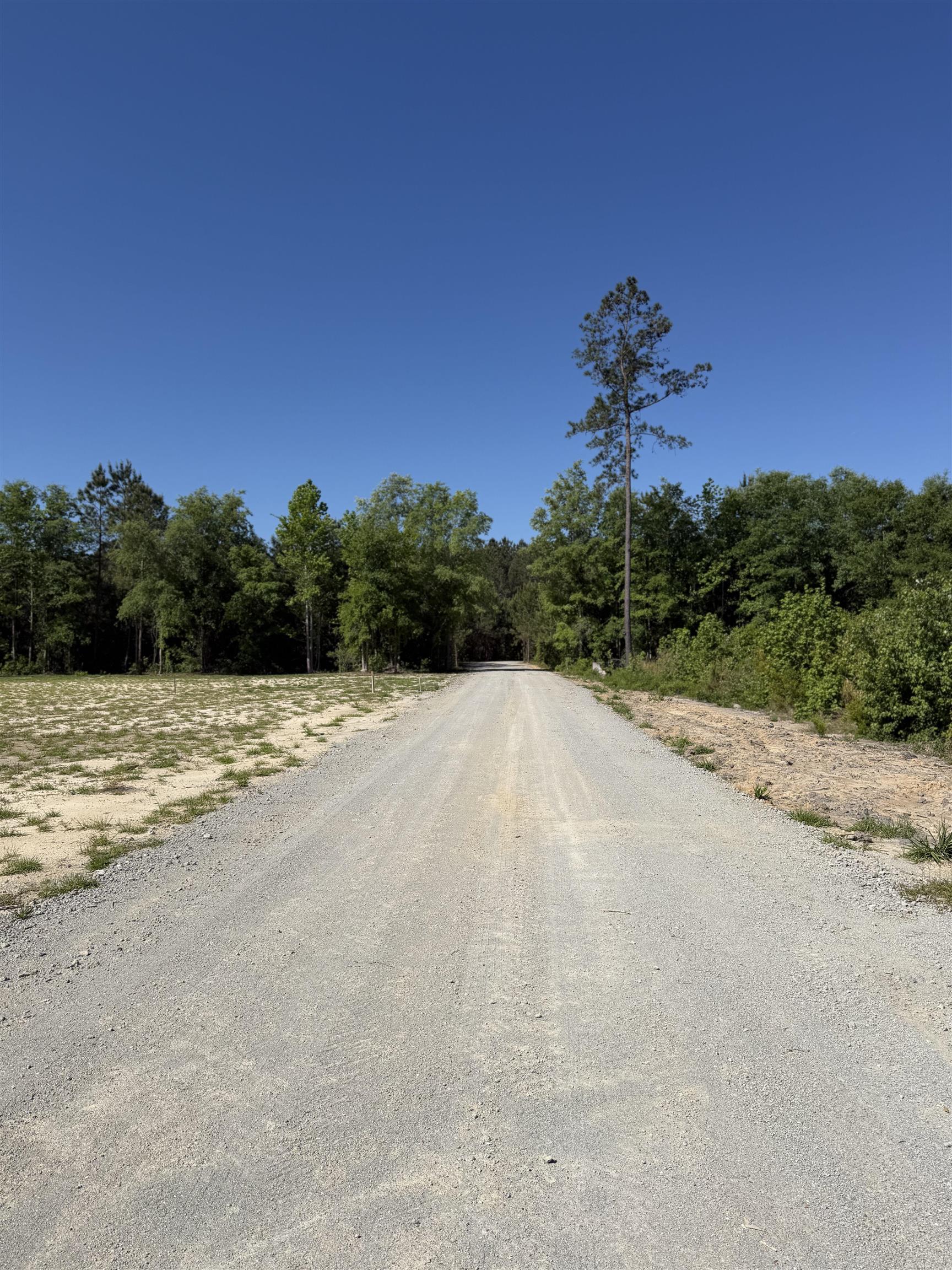 2230 Pee Dee Highway Conway, SC 29527 - Photo 13 of 23