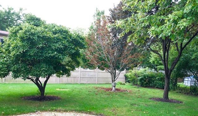 2560 Fossil Stone Road Dyer, IN 46311 - Photo 11 of 18 640x375